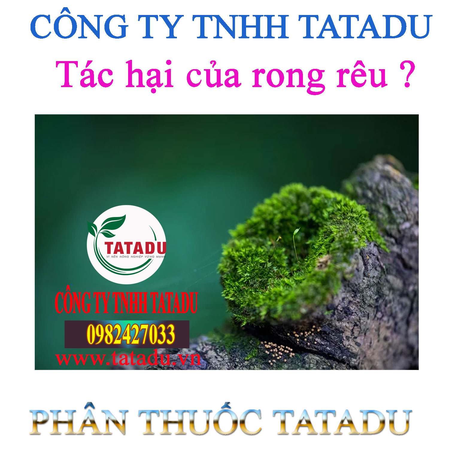 Tac hai cua rong reu