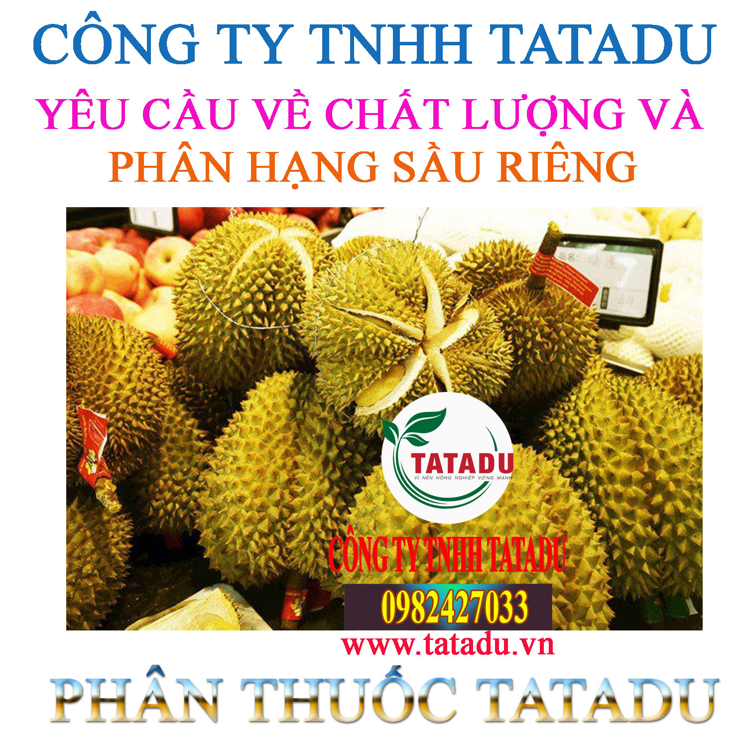 YEU CAU VE CHAT LUONG VA PHAN HANG SAU RIENG