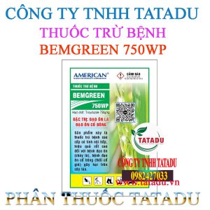 BEMGREEN 750WP