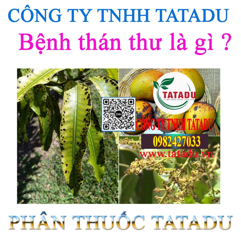 BENH THAN THU LA GI