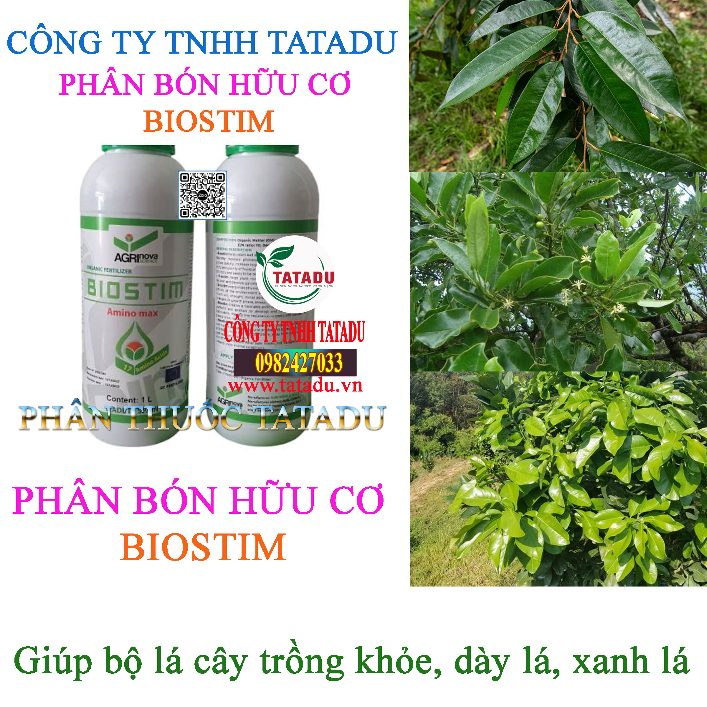BIOSTIM giup day la BIOSTIM giup day la