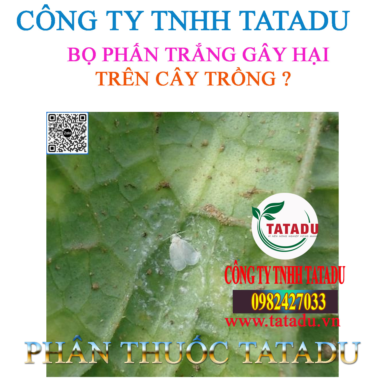 BO PHAN TRANG GAY HAI TREN CAY TRONG