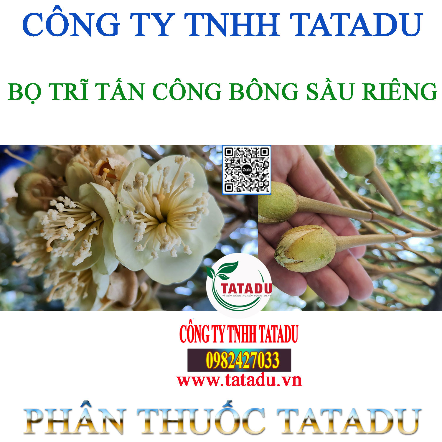 BO TRI TAN CONG BONG SAU RIENG