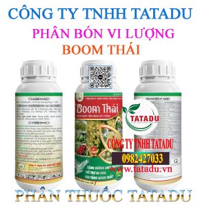 BOOM THAI