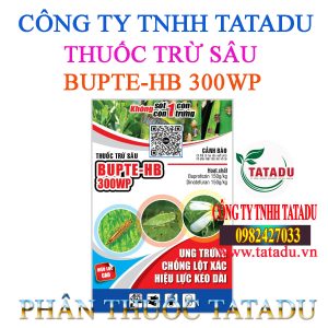 BUPTE HB 300WP GOI 25GR