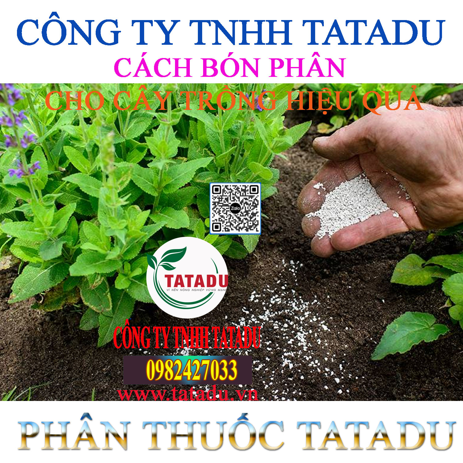 CACH BON PHAN CHO CAY TRONG HIEU QUA