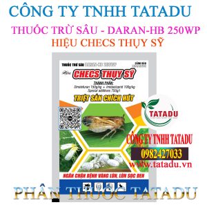 CHECS THUY SY