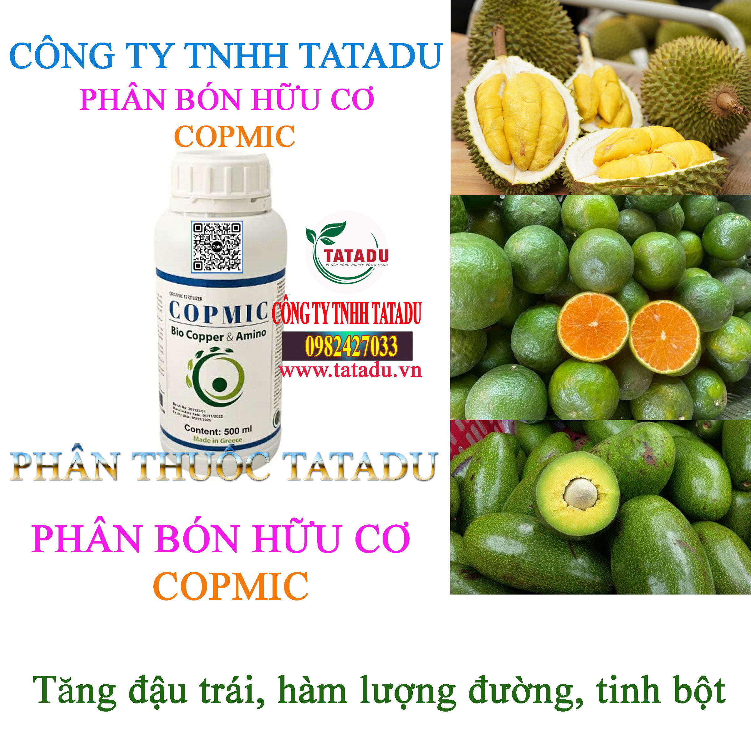 COPMIC tang dau trai COPMIC tang dau trai