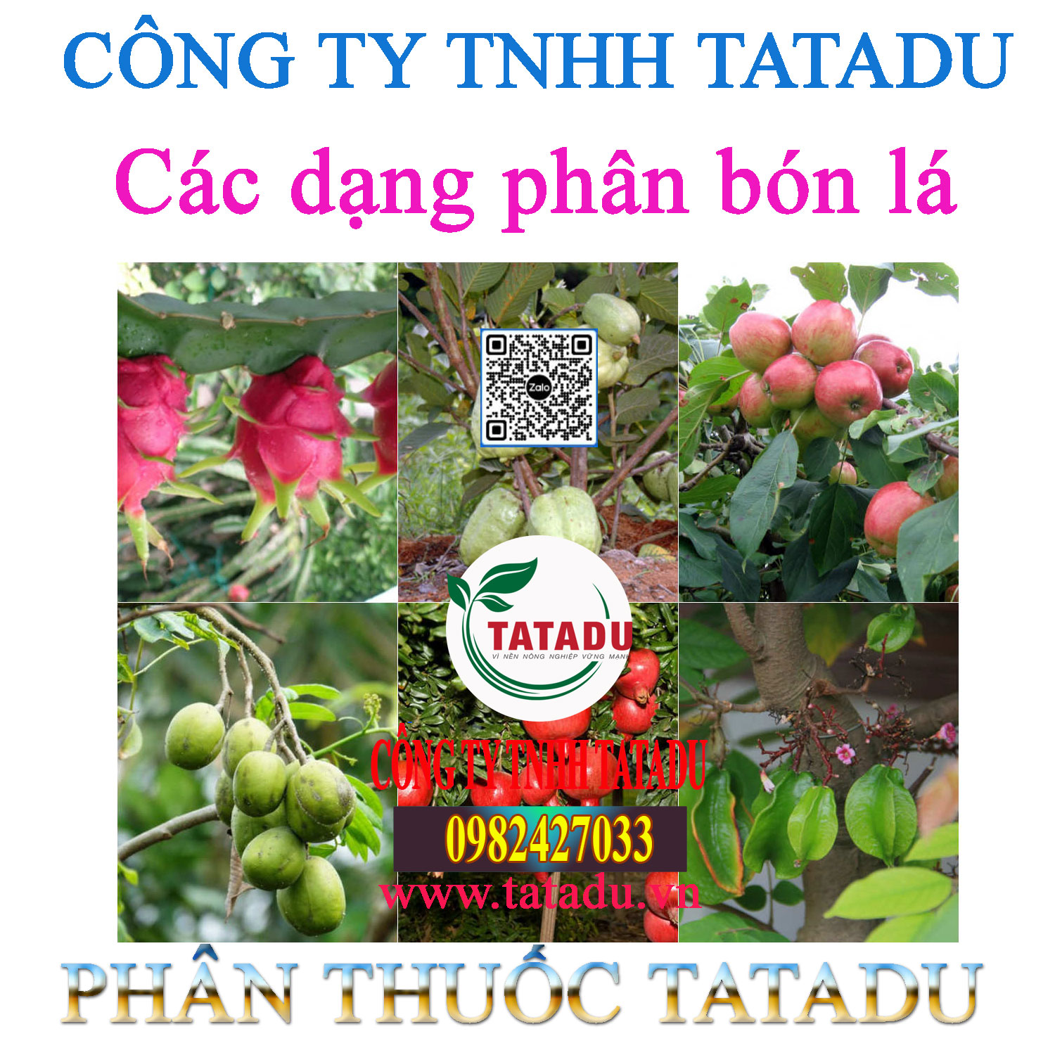 Cac dang phan bon la