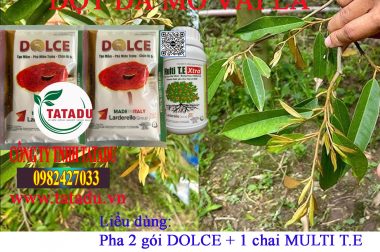 CHẶN ĐI ĐỌT NON, KHÔ MŨI GIÁO BẰNG BỘ SẢN PHẨM . . .