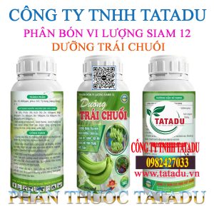 DUONG TRAI CHUOI