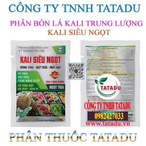 KALI SIEU NGOT SCC OHIO