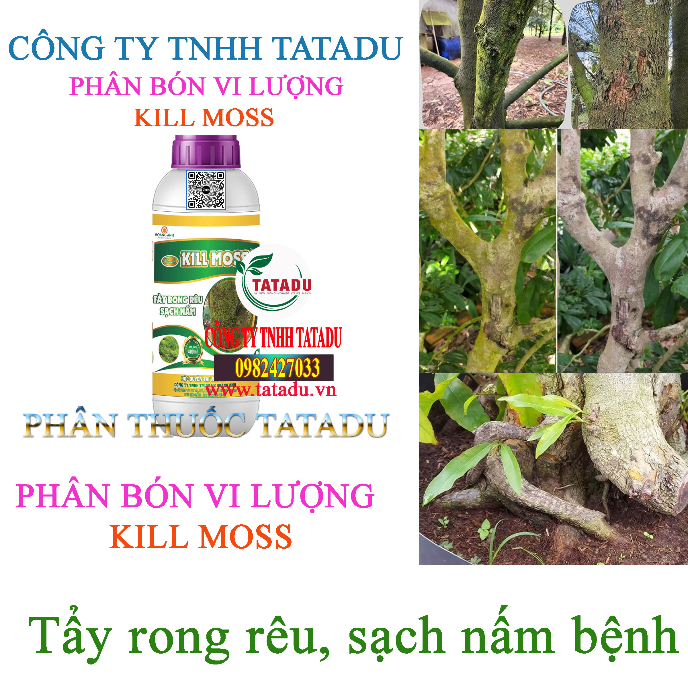 KILL MOSS TAY RONG REU KILL MOSS TAY RONG REU