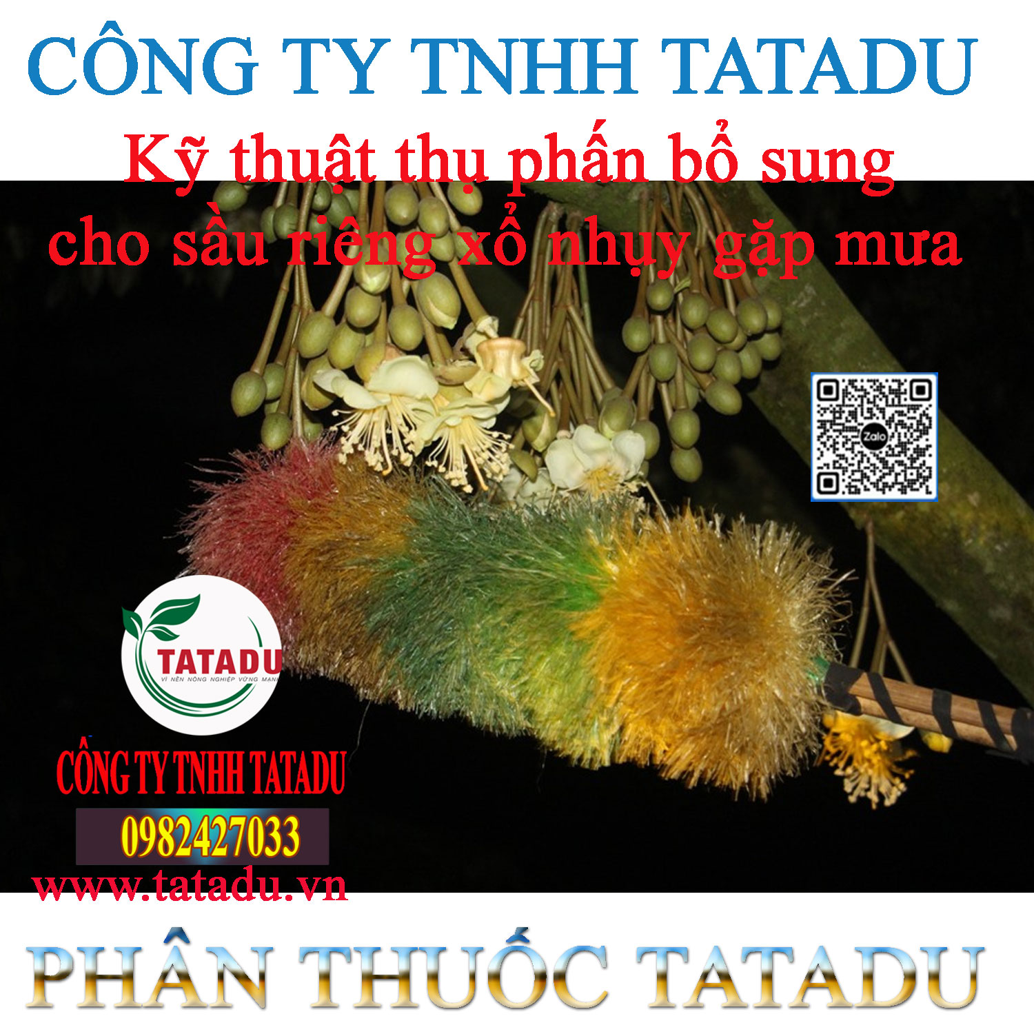 Ky thuat thu phan bo sung cho sau rieng xo nhuy gap mua