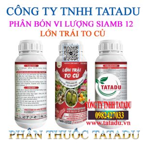 LON TRAI TO CU SCC OHIO