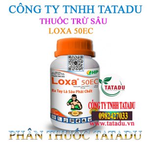 LOXA 50EC