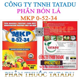 MKP 0 52 34