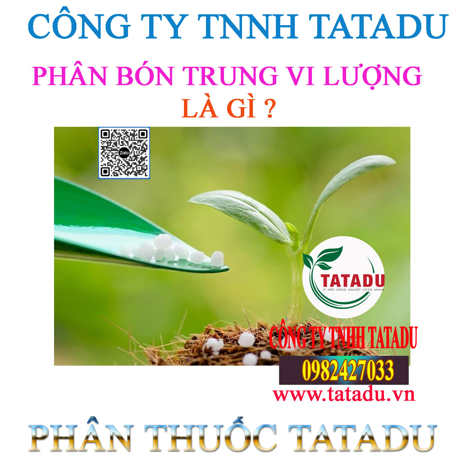 Phan bon trung vi luong la gi