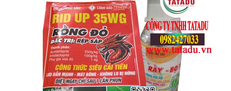RID UP 35WG YAPOKO 250SC BỘ SẢN PHẨM ĐẶC TRỊ BỌ TRĨ HẠI BÔNG SẦU RIÊNG