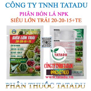 SIEU LON TRAI 20 20 15TE