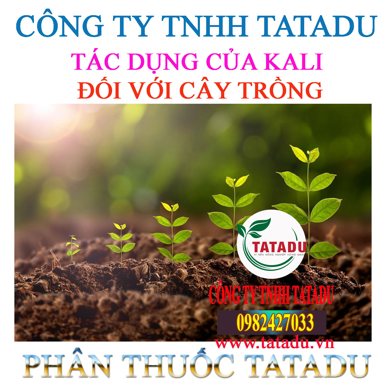 TAC DUNG CUA KALI DOI VOI CAY TRONG