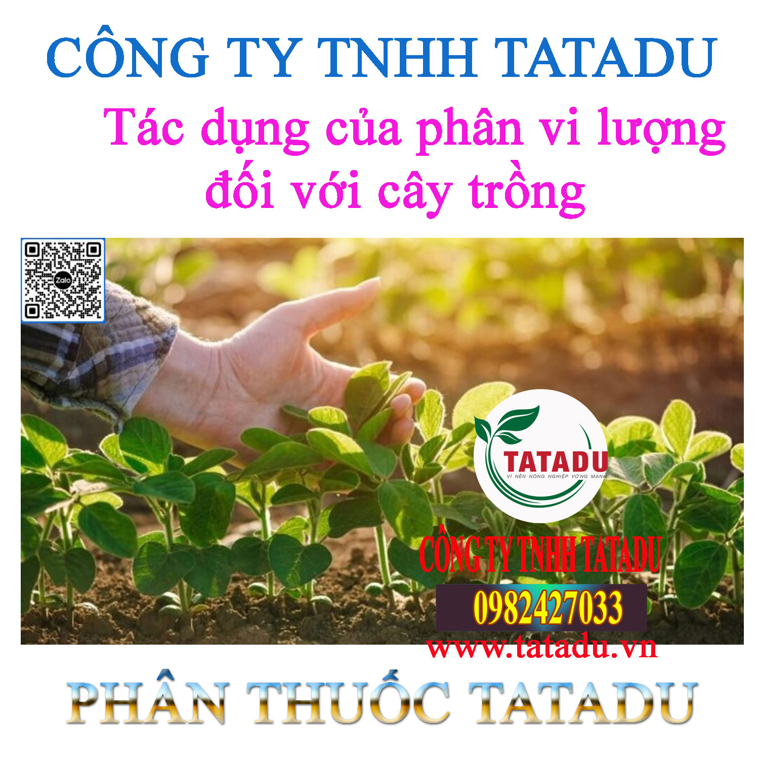 Tac dung cua phan vi luong doi voi cay trong 1