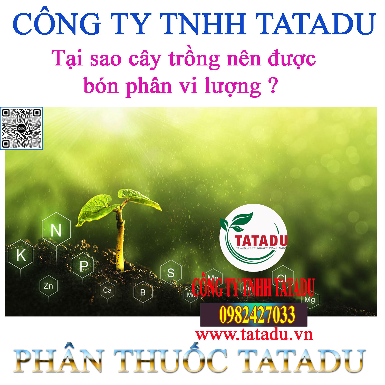 Tai sao cay trong nen duoc bon phan vi luong