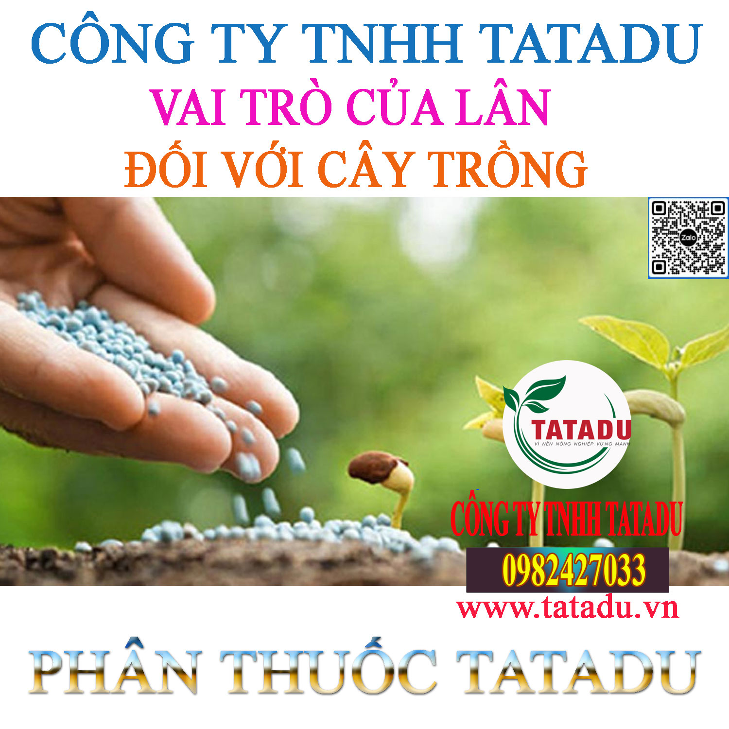 VAI TRO CUA LAN DOI VOI CAY TRONG