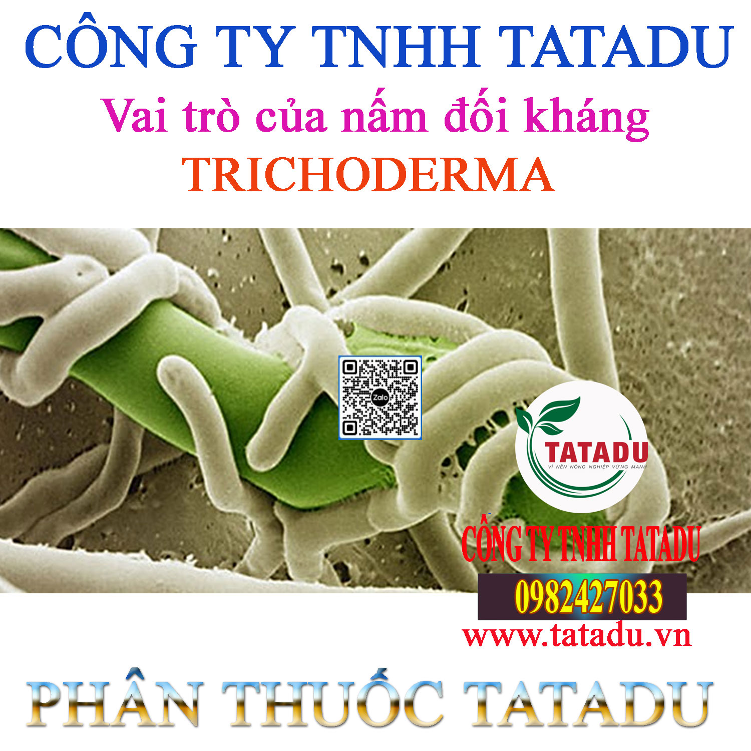 Vai tro cua nam doi khang Trichoderma