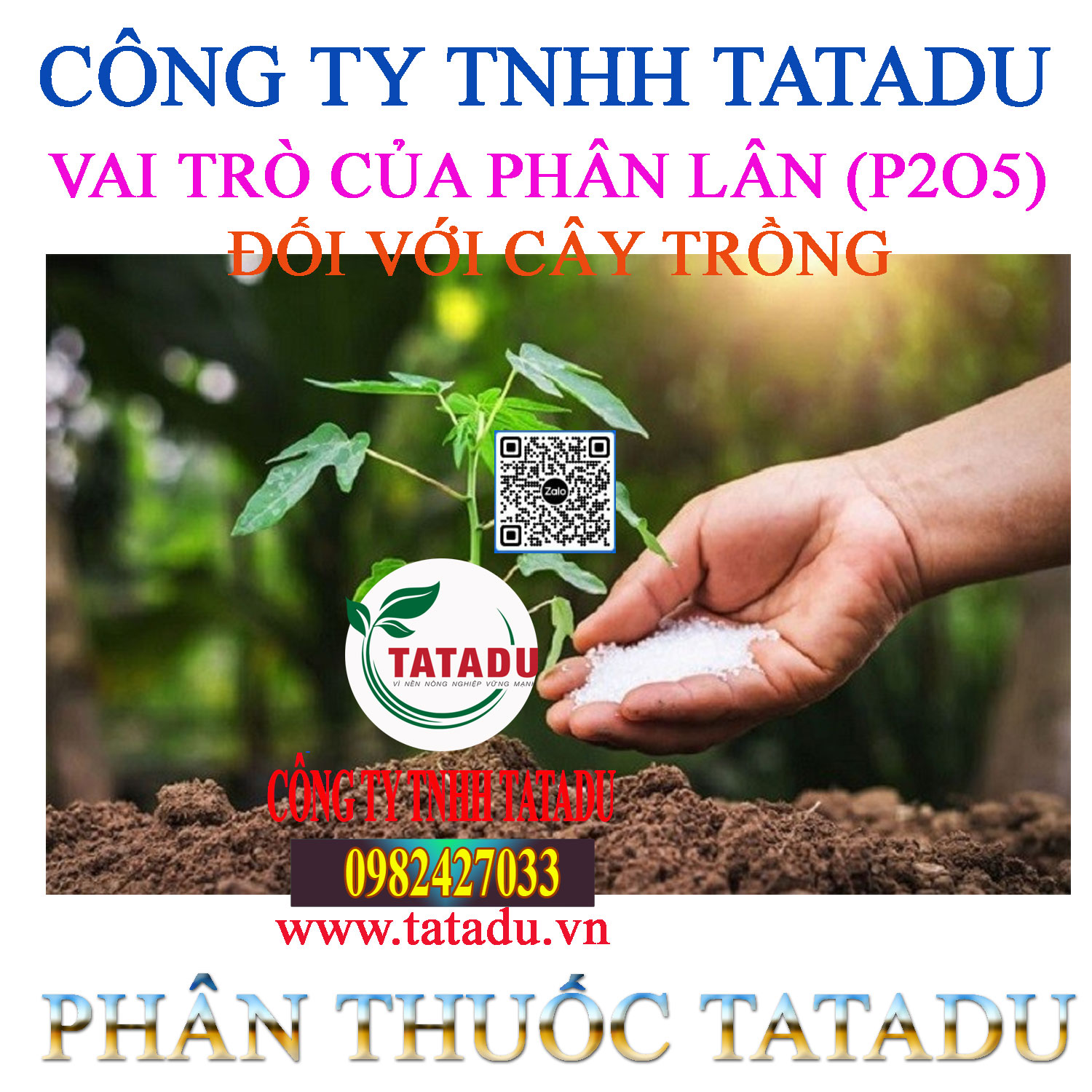 Vai tro cua phan lan P2O5 doi voi cay trong