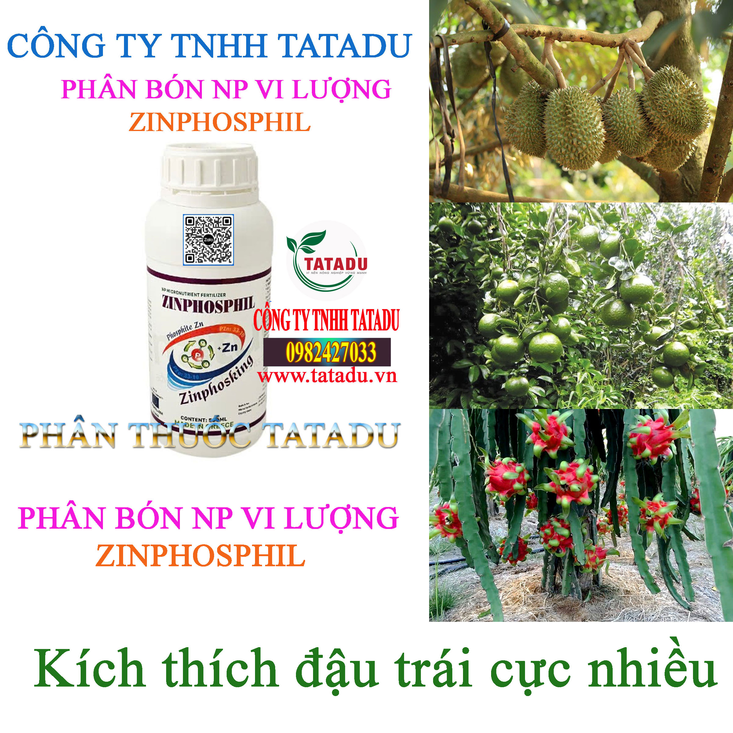 ZINPHOSPHIL dau trai ZINPHOSPHIL dau trai