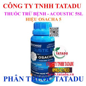 ACOUSTIC 5SL HIEU OSACHA 5