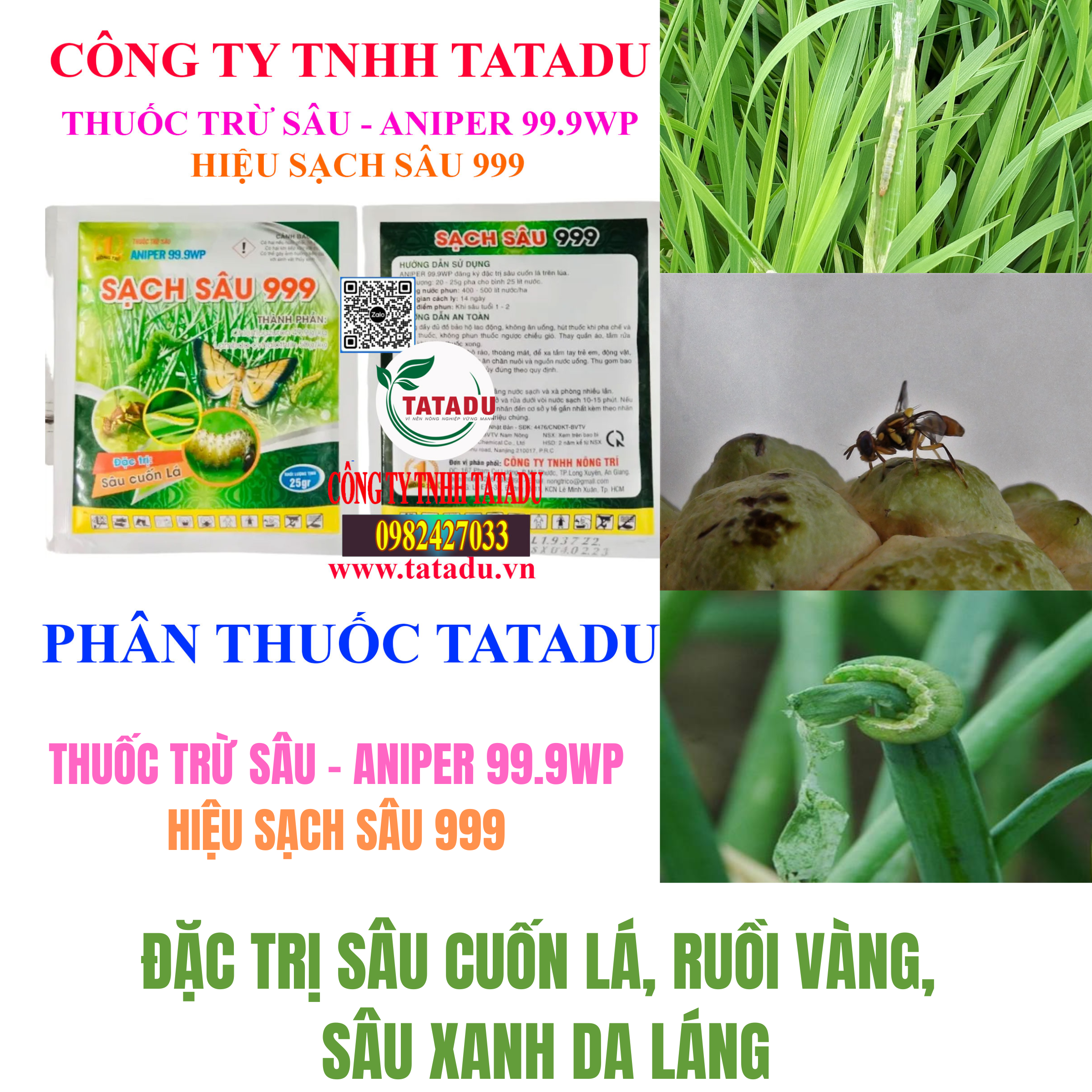 ANIPER 99.9WP DAC TRI SAU CUON LA RUOI VANG SAU XANH DA LANG ANIPER 99.9WP DAC TRI SAU CUON LA RUOI VANG SAU XANH DA LANG