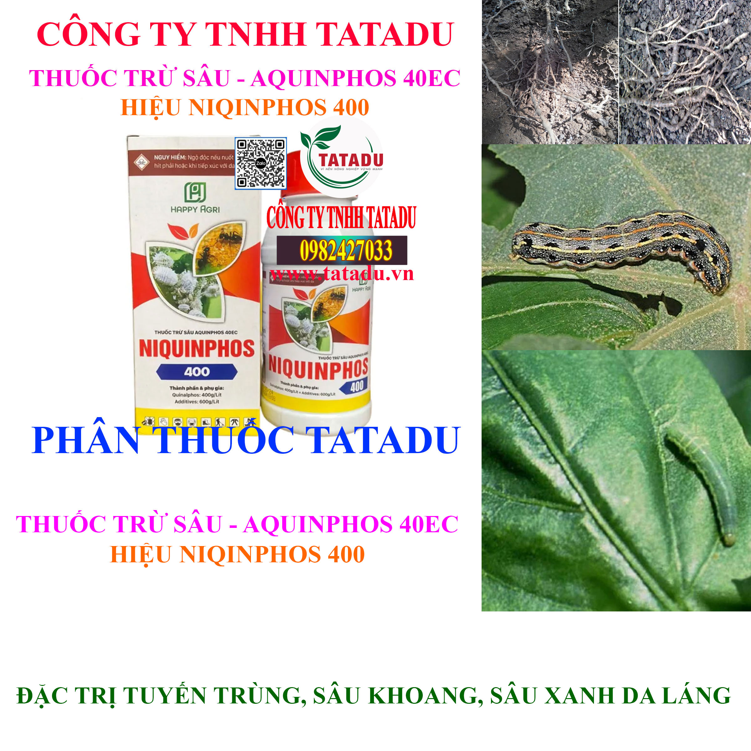 AQUINPHOS 40EC DAC TRI TUYEN TRUNG AQUINPHOS 40EC DAC TRI TUYEN TRUNG