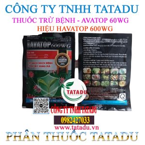 AVATOP 60WG
