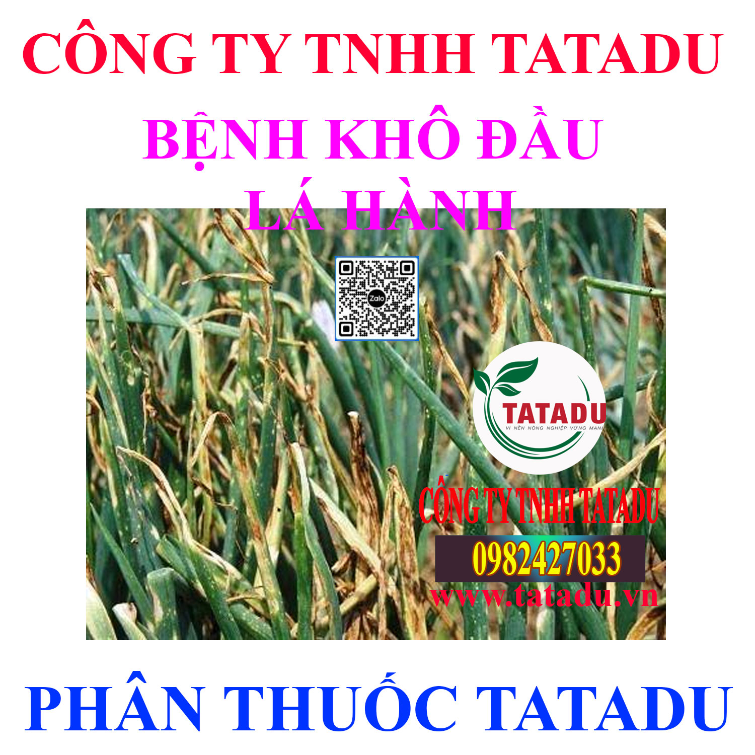 BENH KHO DAU LA HANH BENH KHO DAU LA HANH