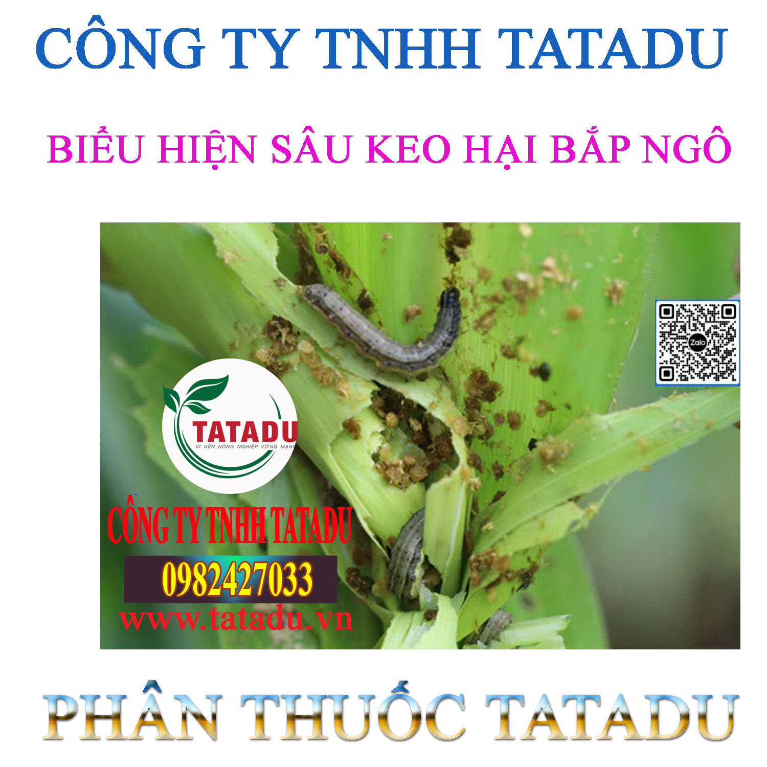 BIEU HIEN SAU KEO HAI BAP BIEU HIEN SAU KEO HAI BAP
