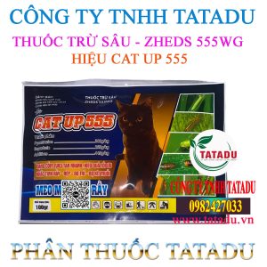 CAT UP 555