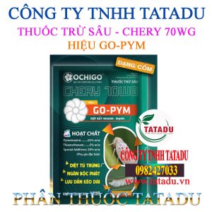 CHERY 70WG HIEU GO PYM