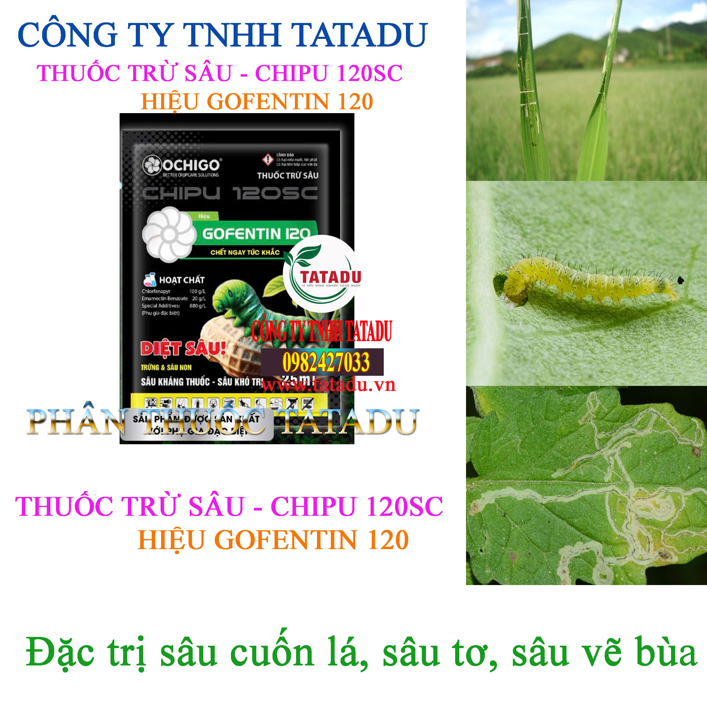 CHIPU 120SC HIEU GOFENTIN 120 DAC TRI SAU CUON LA SAU TO SAU VE BUA CHIPU 120SC HIEU GOFENTIN 120 DAC TRI SAU CUON LA SAU TO SAU VE BUA