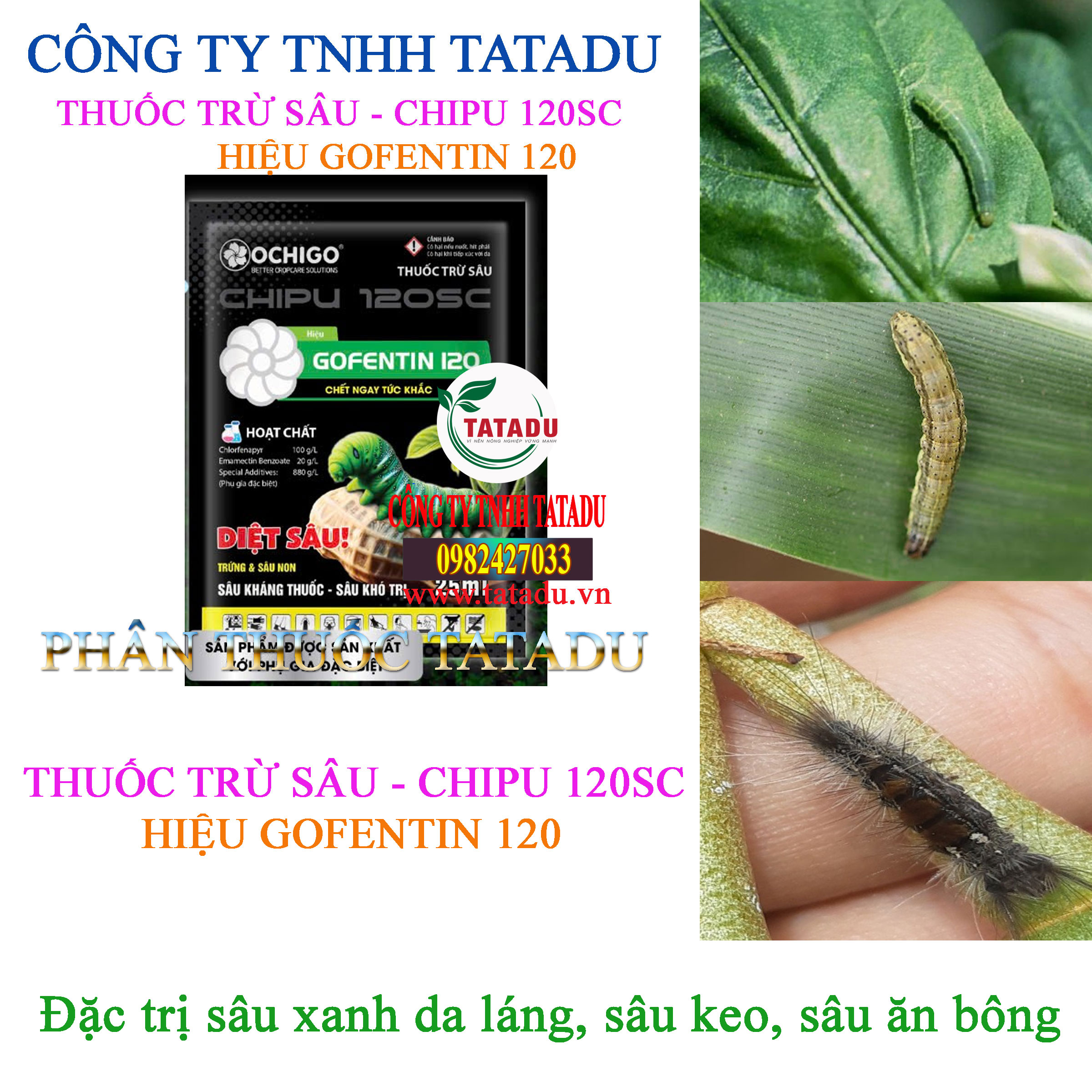 CHIPU 120SC HIEU GOFENTIN 120 DAC TRI SAU XANH DA LANG SAU KEO SAU AN BONG CHIPU 120SC HIEU GOFENTIN 120 DAC TRI SAU XANH DA LANG SAU KEO SAU AN BONG