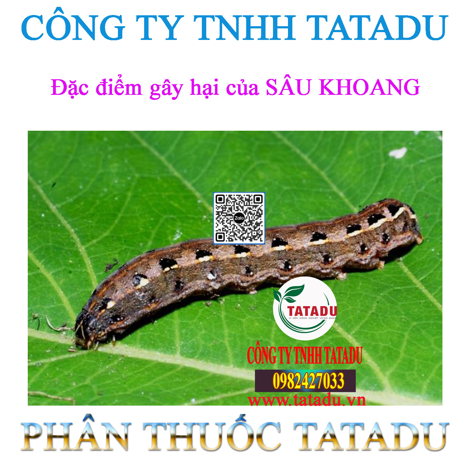 Dac diem gay hai cua SAU KHOANG
