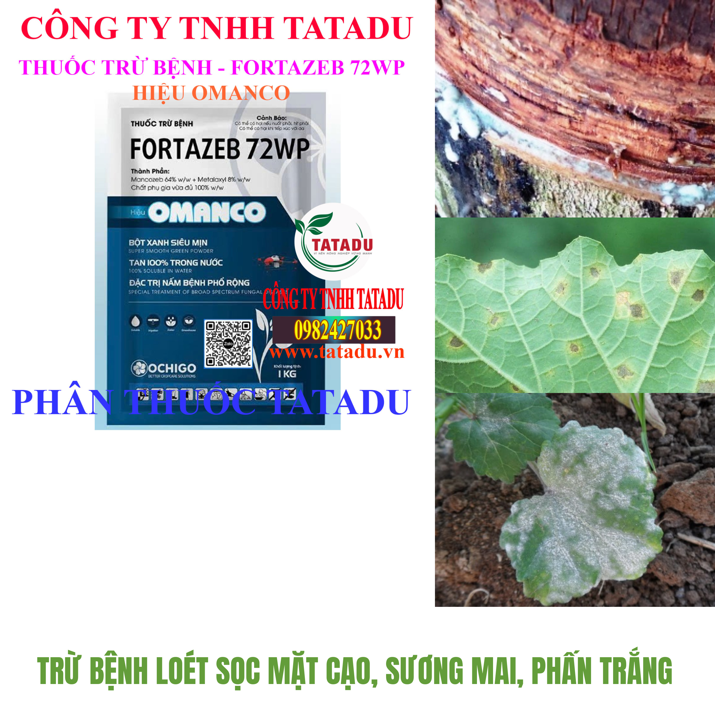 FORTAZEB 72WP HIEU OMANCO TRU BENH LOET SOC MAT CAO SUONG MAI PHAN TRANG FORTAZEB 72WP HIEU OMANCO TRU BENH LOET SOC MAT CAO SUONG MAI PHAN TRANG