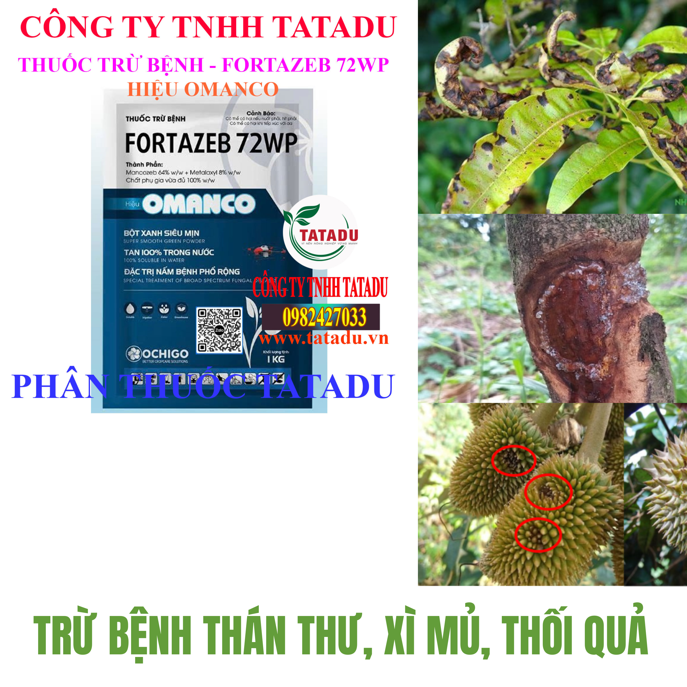 FORTAZEB 72WP HIEU OMANCO TRU BENH THAN THU XI MU THOI QUA FORTAZEB 72WP HIEU OMANCO TRU BENH THAN THU XI MU THOI QUA