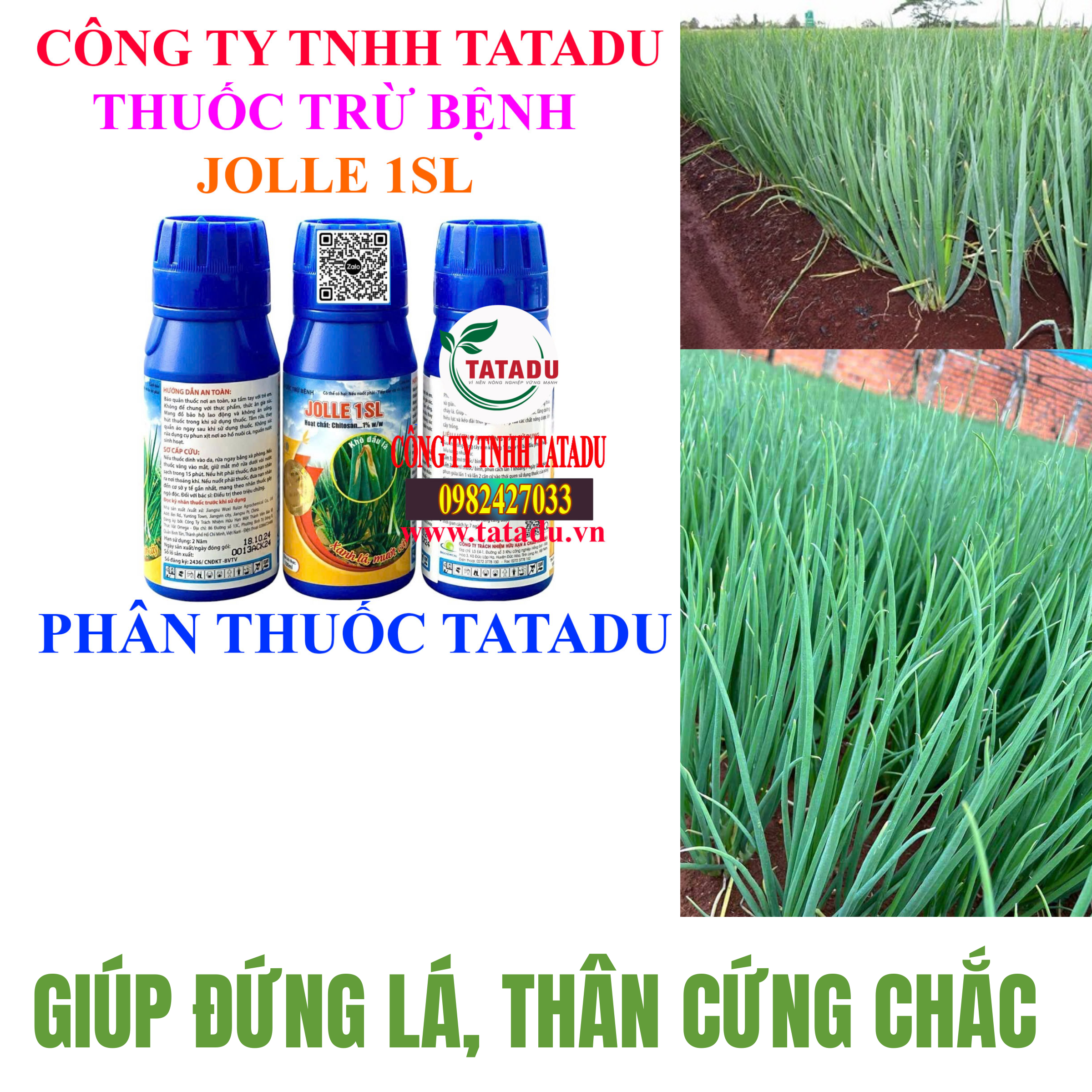 JOLLE 1SL GIUP DUNG LA THAN CUNG CHAC JOLLE 1SL GIUP DUNG LA THAN CUNG CHAC