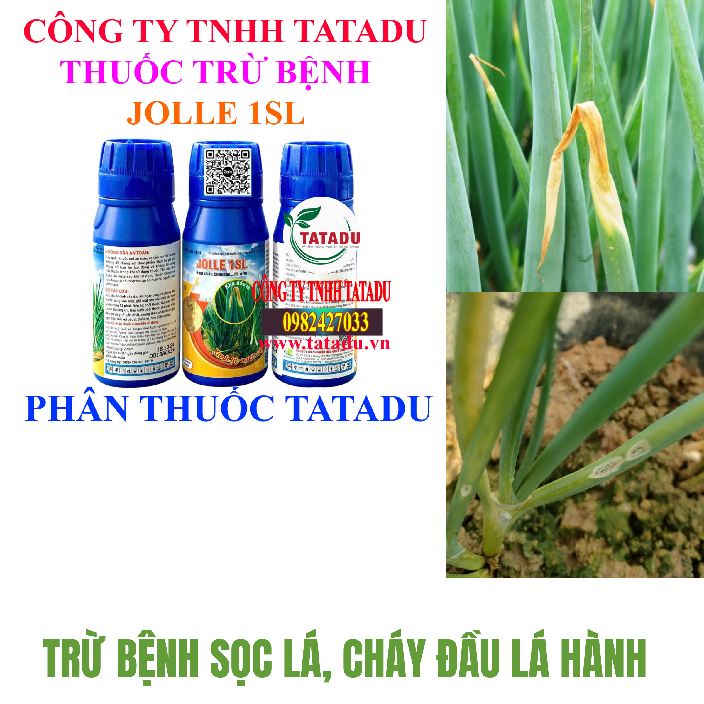 JOLLE 1SL TRU BENH SOC LA CHAY DAU LA HANH JOLLE 1SL TRU BENH SOC LA CHAY DAU LA HANH