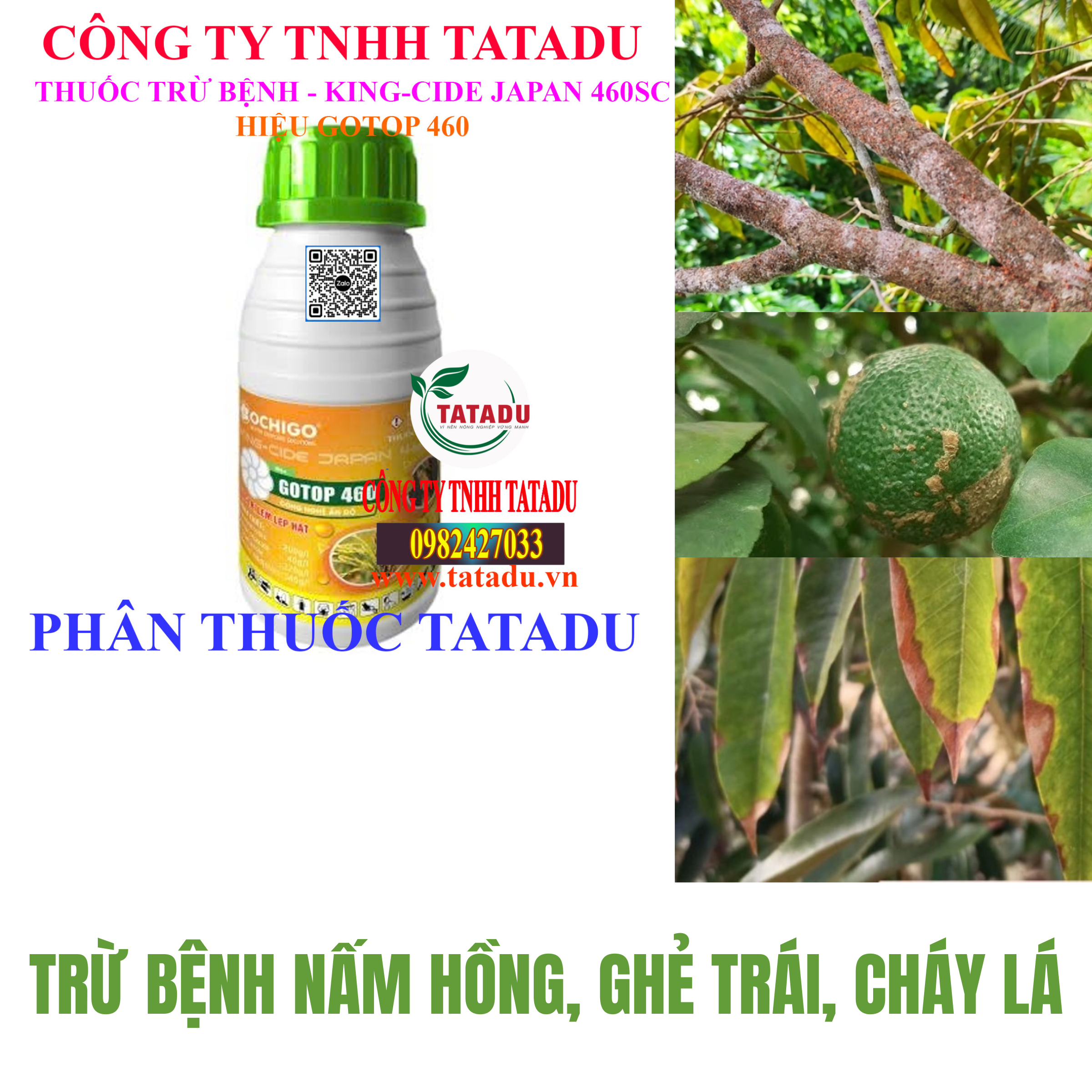 KING CIDE JAPAN 460SC HIEU GOTOP 460 TRU BENH NAM HONG GHE TRAI CHAY LA KING CIDE JAPAN 460SC HIEU GOTOP 460 TRU BENH NAM HONG GHE TRAI CHAY LA