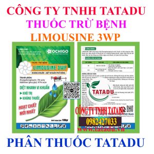 LIMOUSINE 3WP