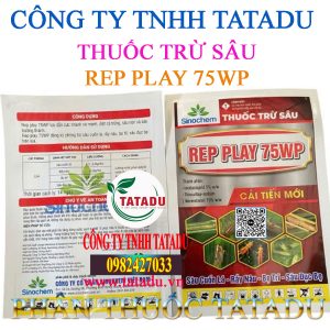 REP PLAY 75WP