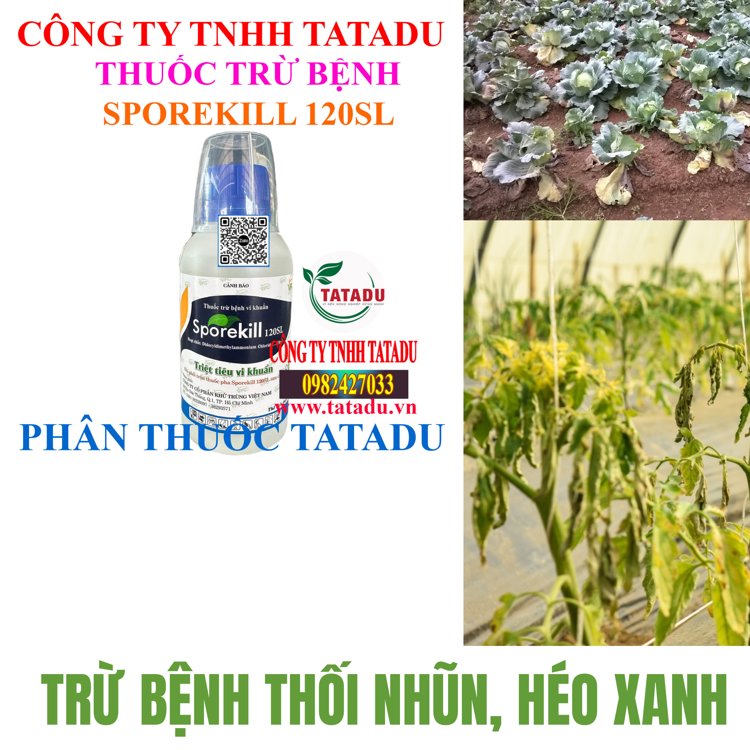 SPOREKILL 120SL DAC TRI BENH THOI NHUN HEO XANH SPOREKILL 120SL DAC TRI BENH THOI NHUN HEO XANH